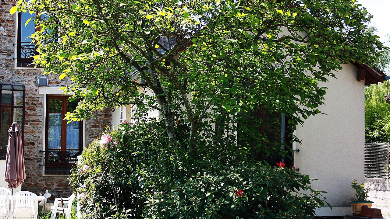 Photo of Outdoor in Barbizon