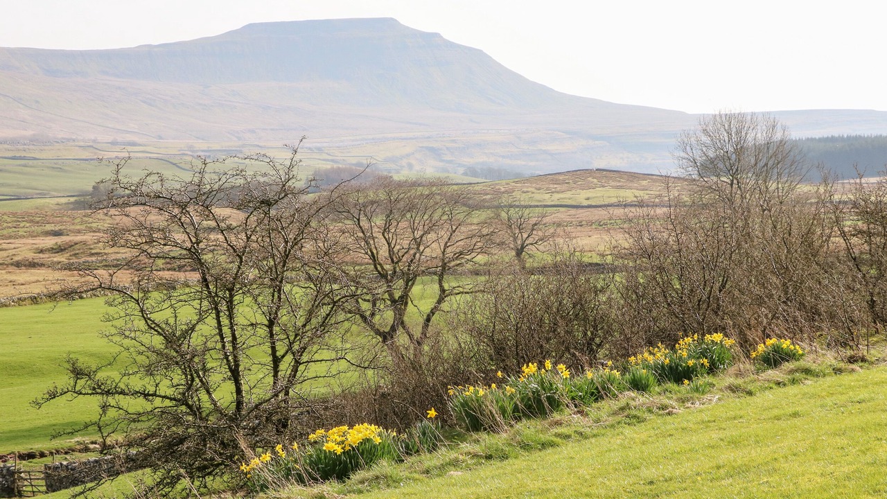 Photo of Outdoor in Fourstones Near Bentham