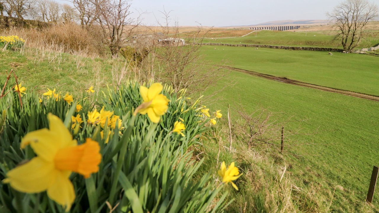 Photo of Others in Fourstones Near Bentham