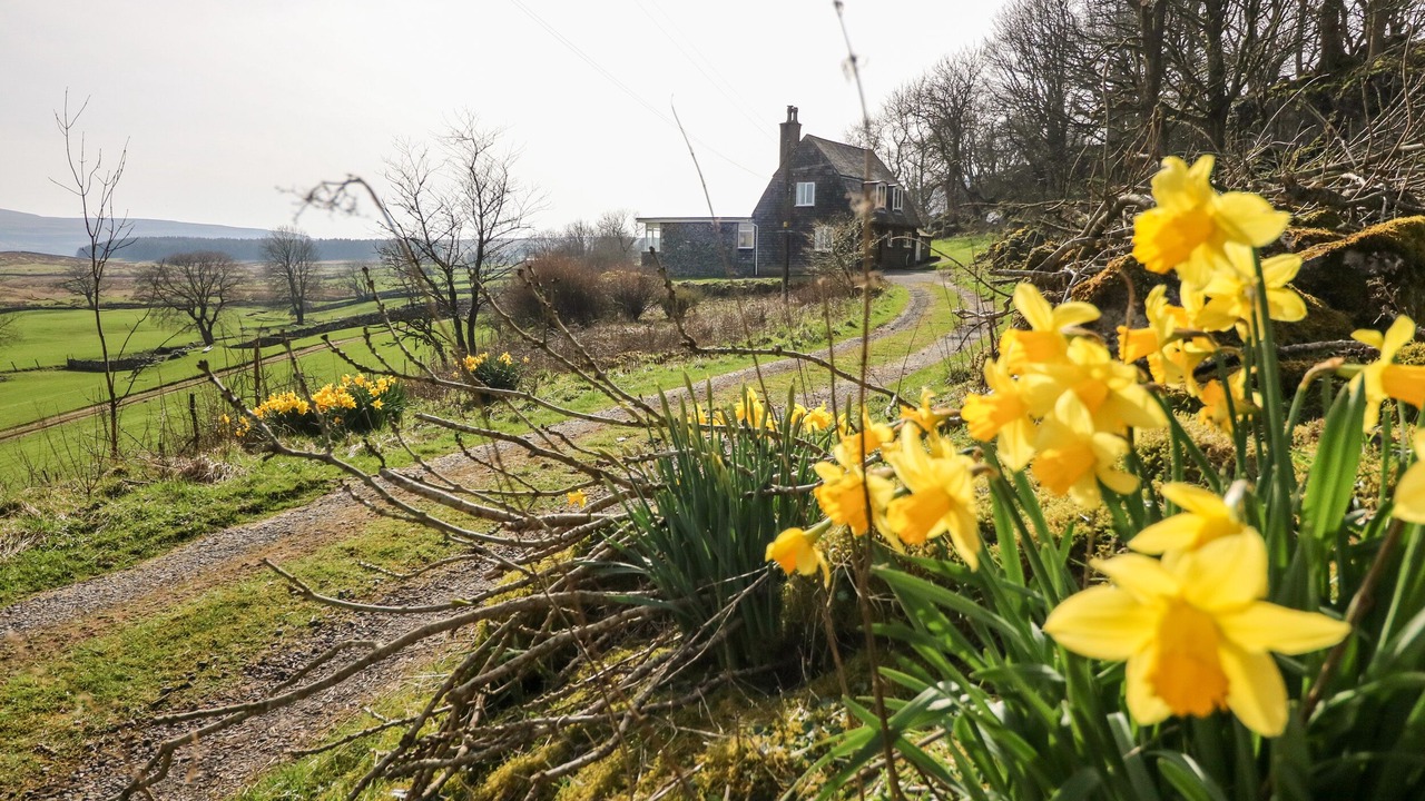 Photo of Outdoor in Fourstones Near Bentham