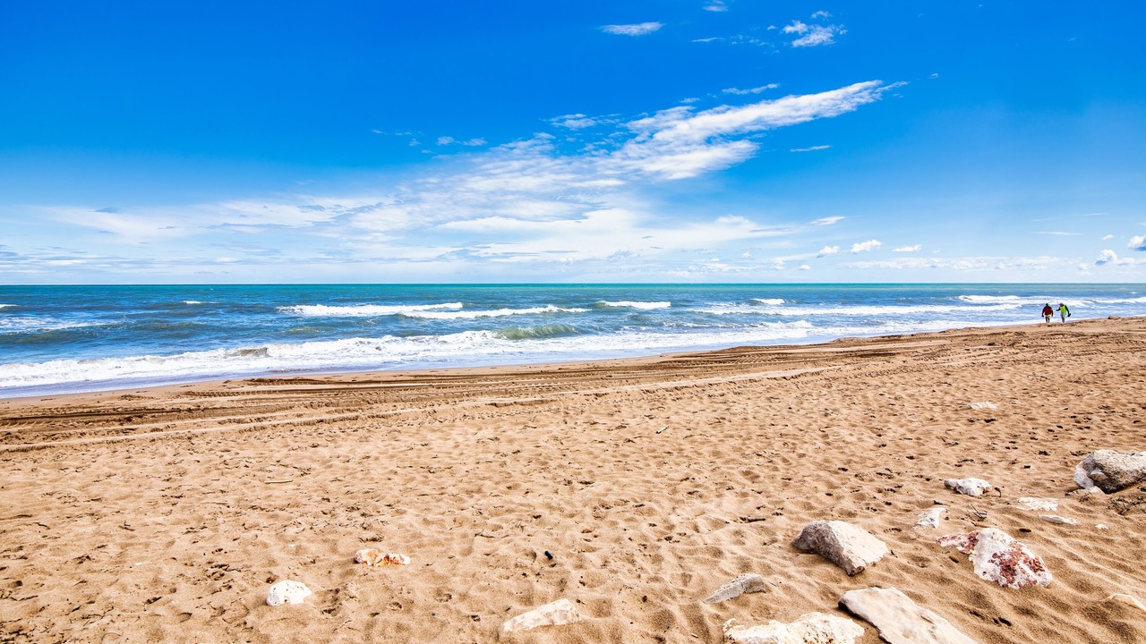 Photo of Others in Denia