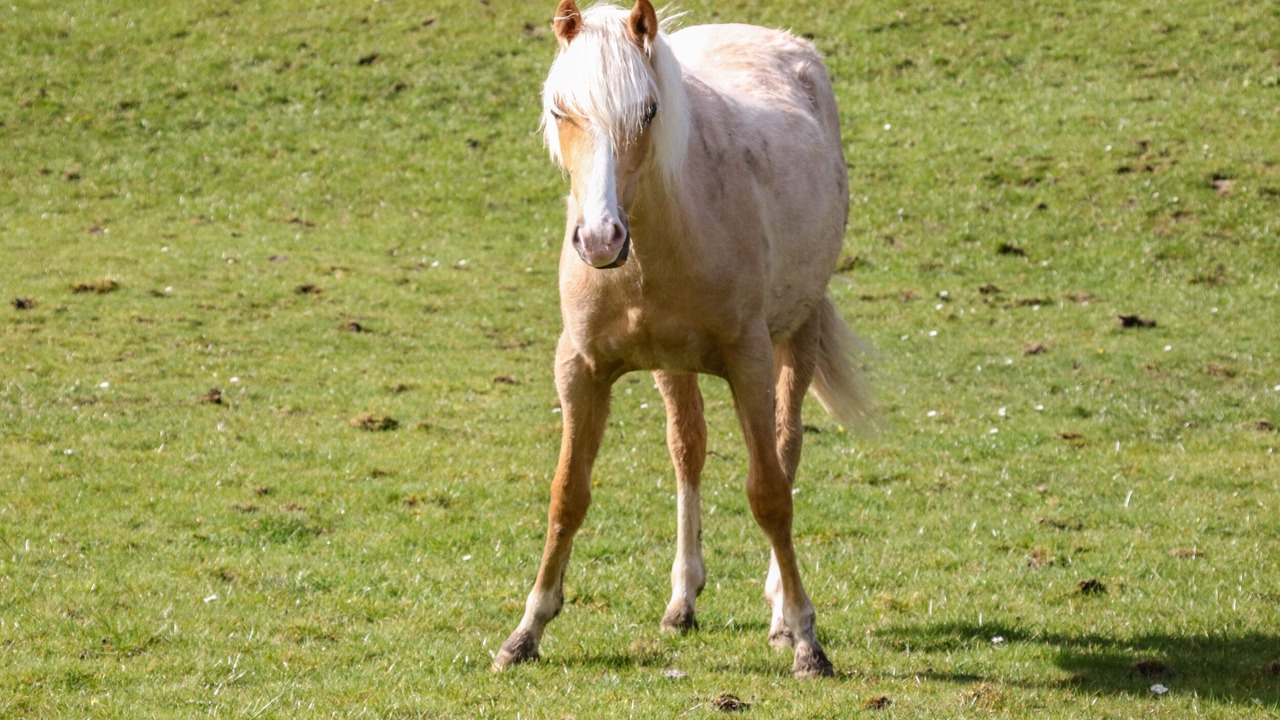 Photo of Outdoor in Hope Valley