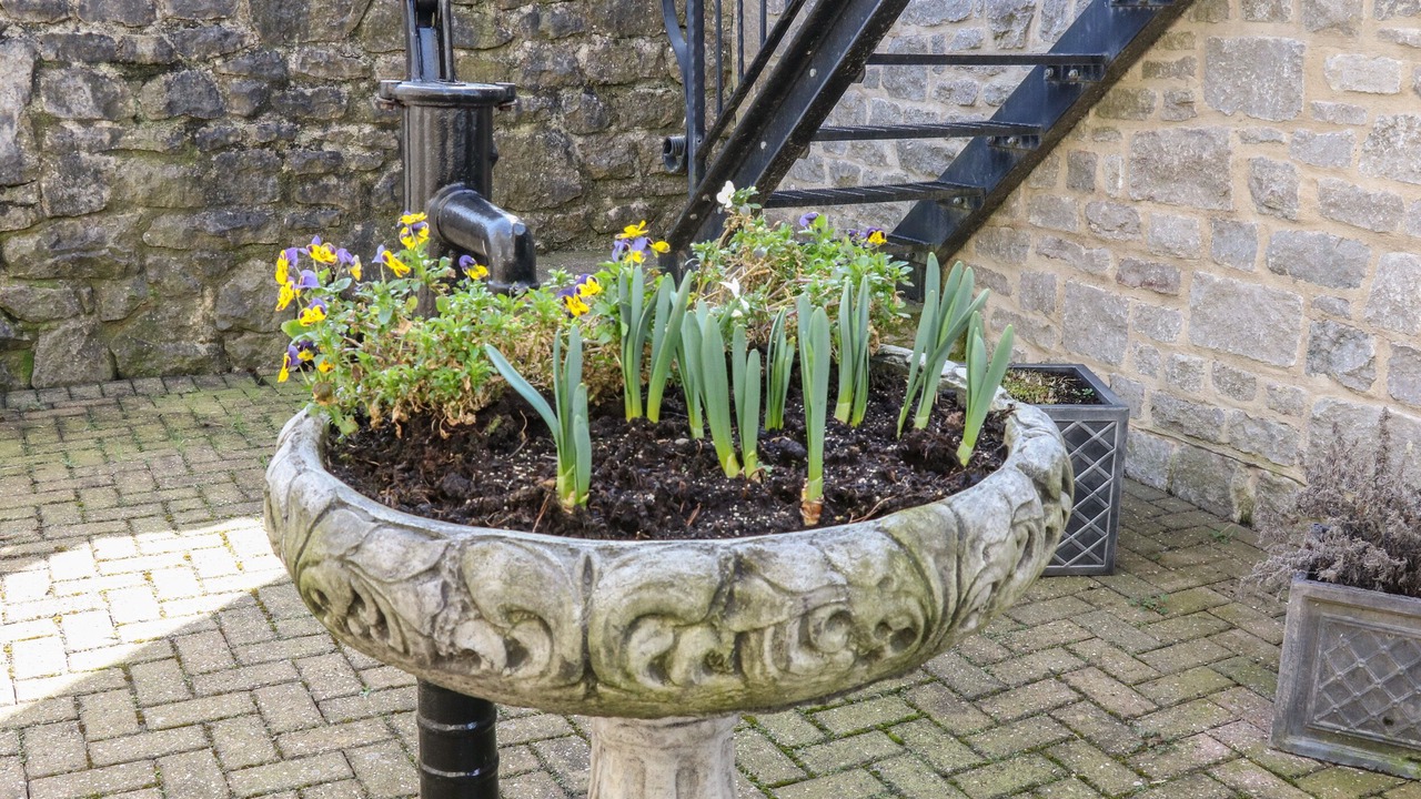 Photo of Outdoor in Hope Valley