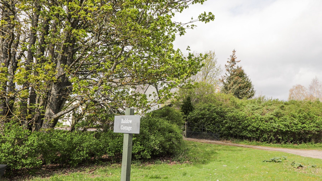 Photo of Outdoor in Kincraig