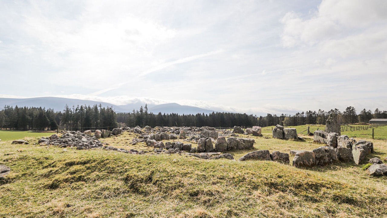 Photo of Others in Kincraig