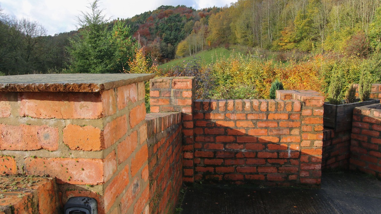 Photo of Outdoor in Mold