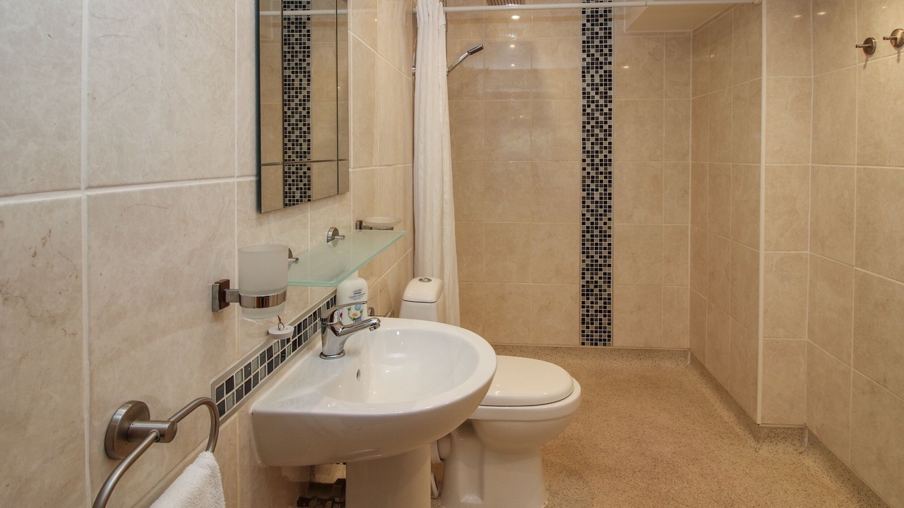 Photo of Bathroom in Mold