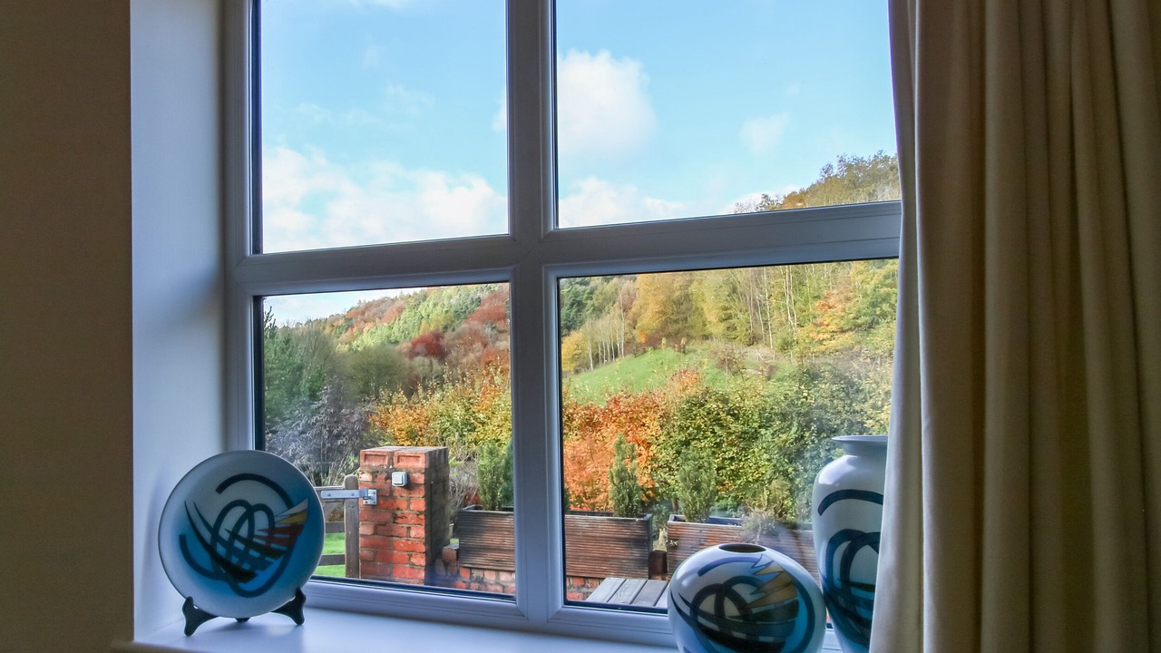 Photo of Others in Mold