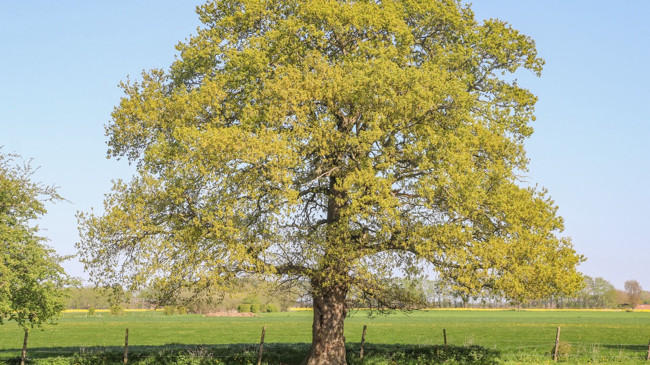 Photo of Others in Ryther