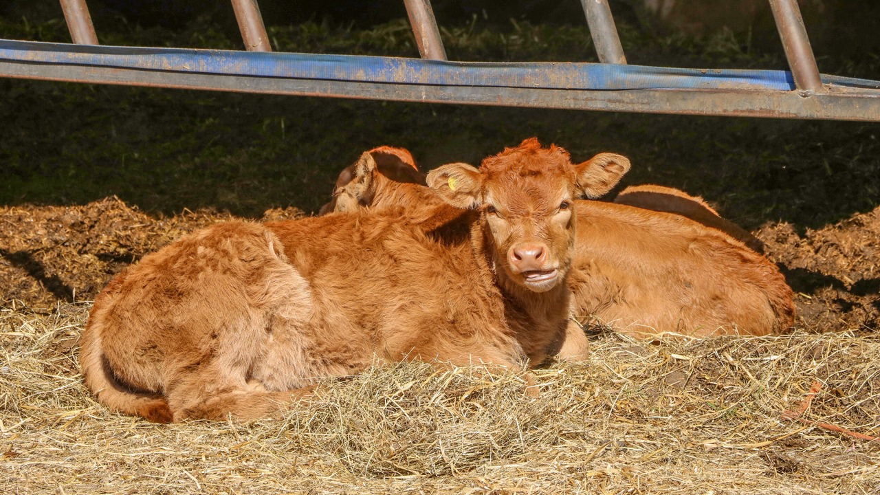 Photo of Outdoor in Ryther