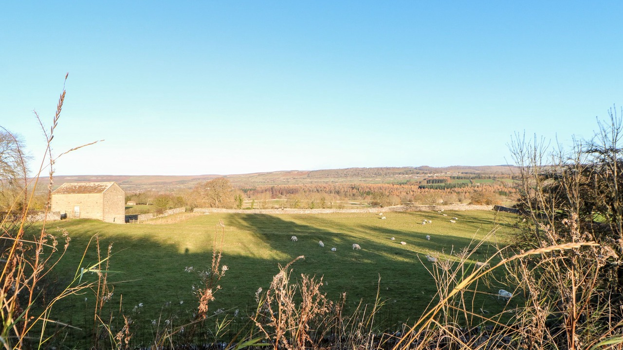 Photo of Others in West Witton