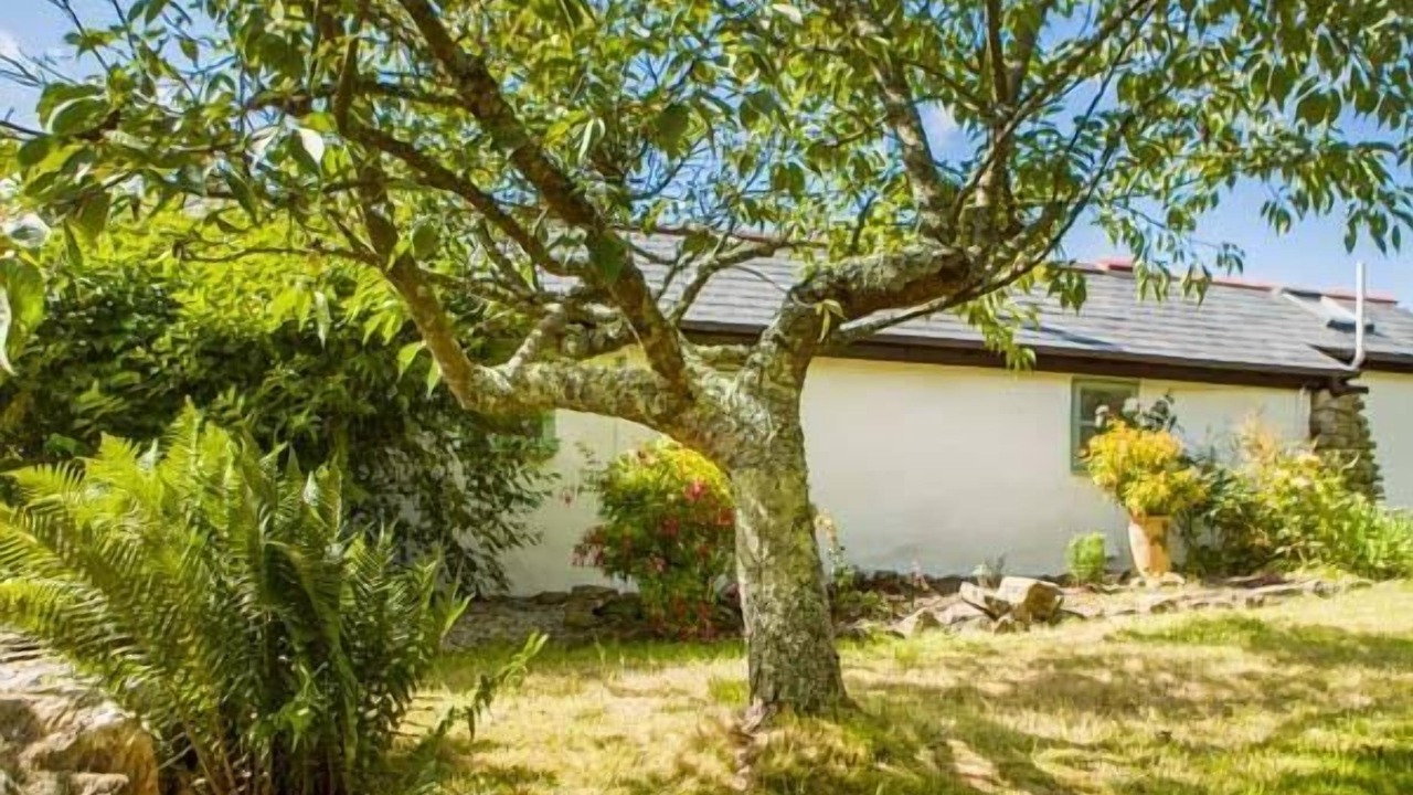 Photo of Outdoor in Truro