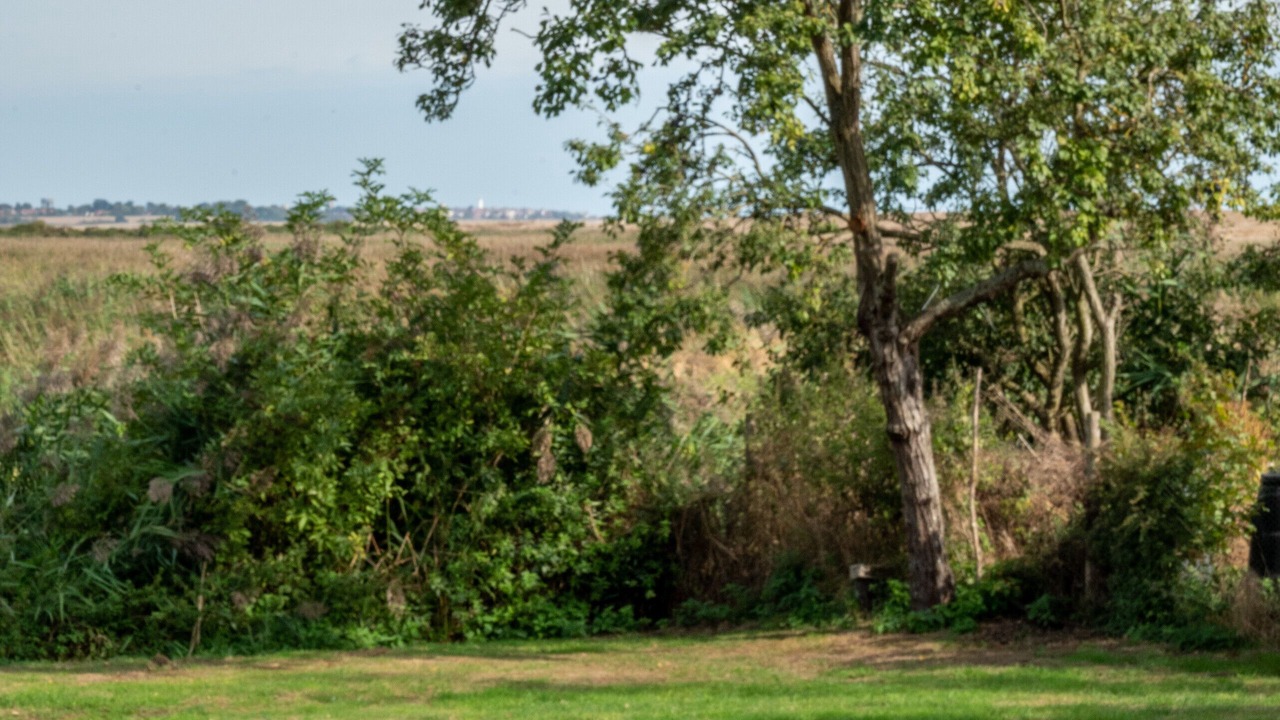 Photo of Outdoor in Dunwich