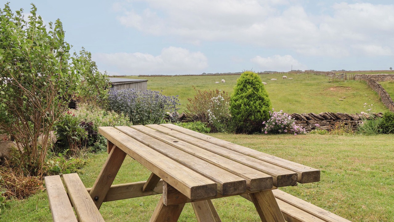 Photo of Outdoor in Scawton