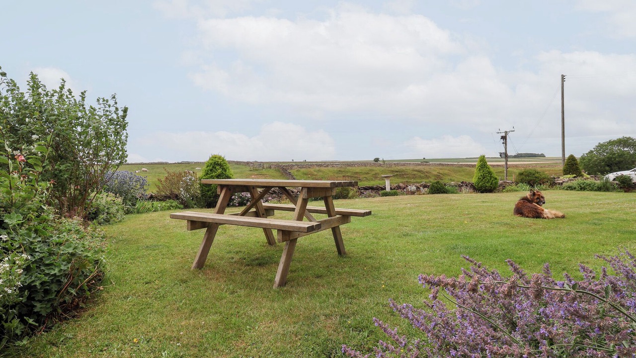 Photo of Outdoor in Scawton