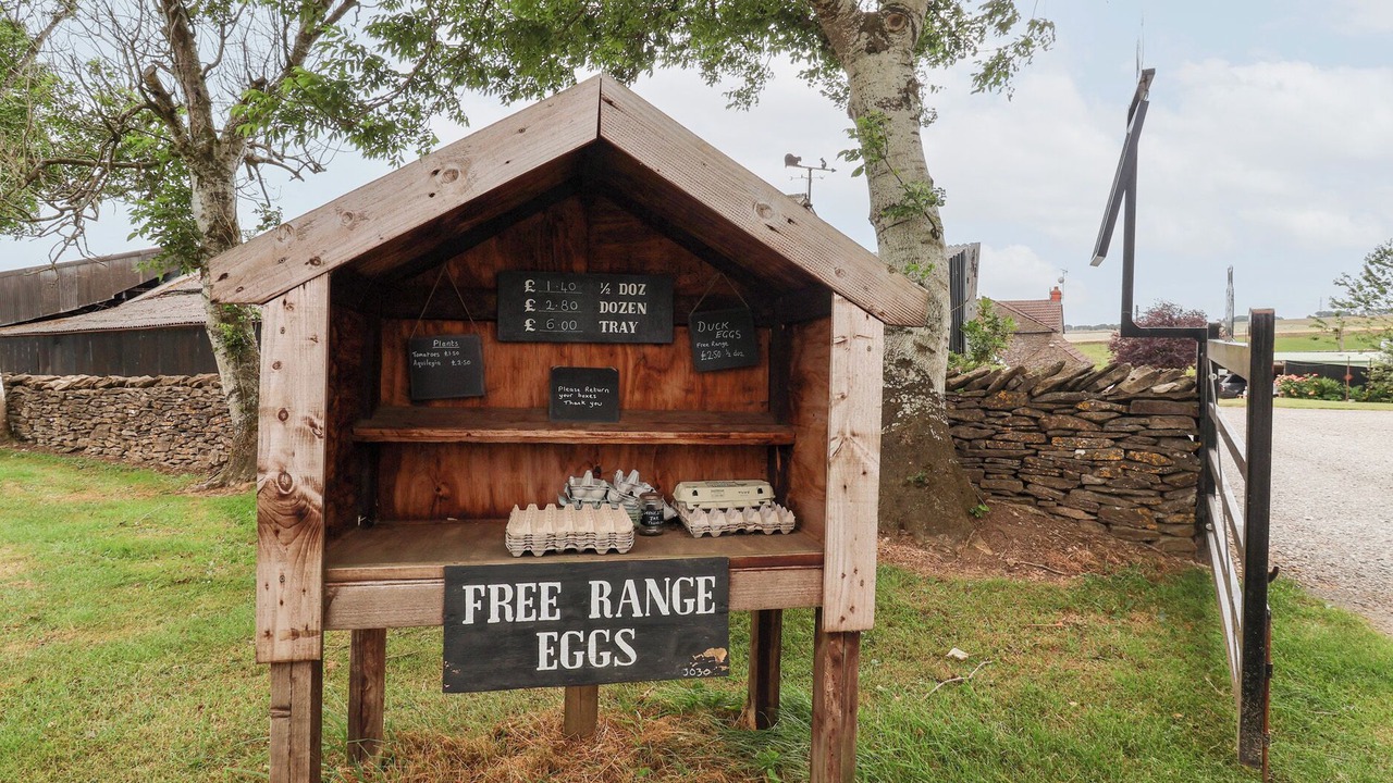 Photo of Others in Scawton