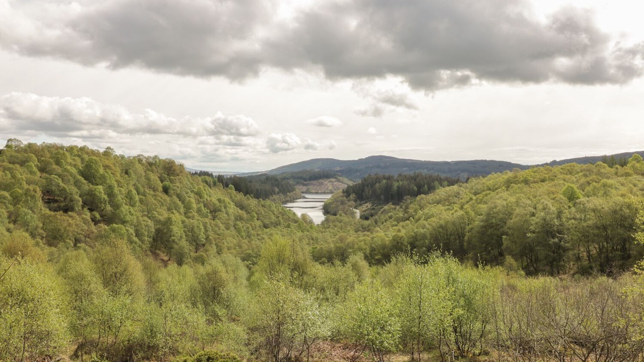 Photo of Others in Strathblane