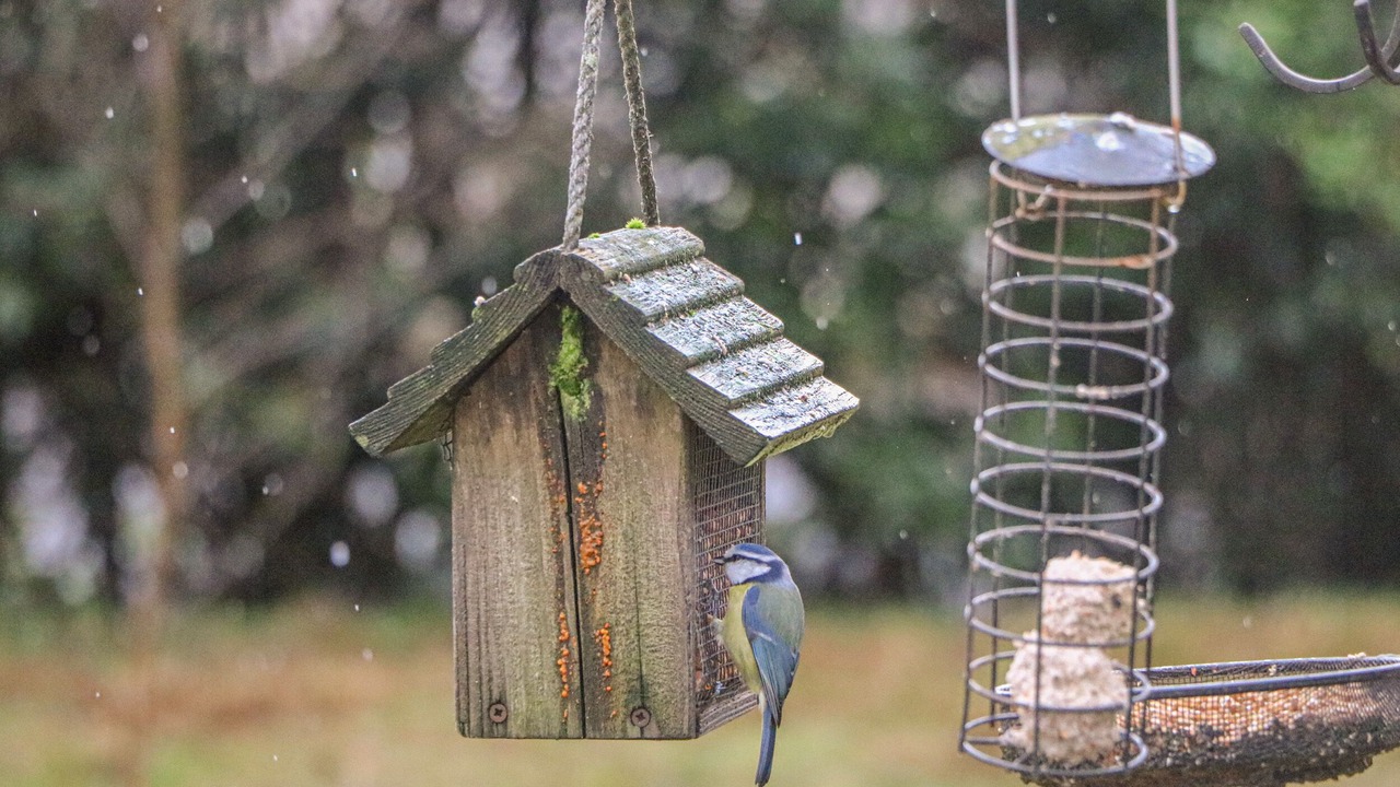 Photo of Outdoor in Strathblane