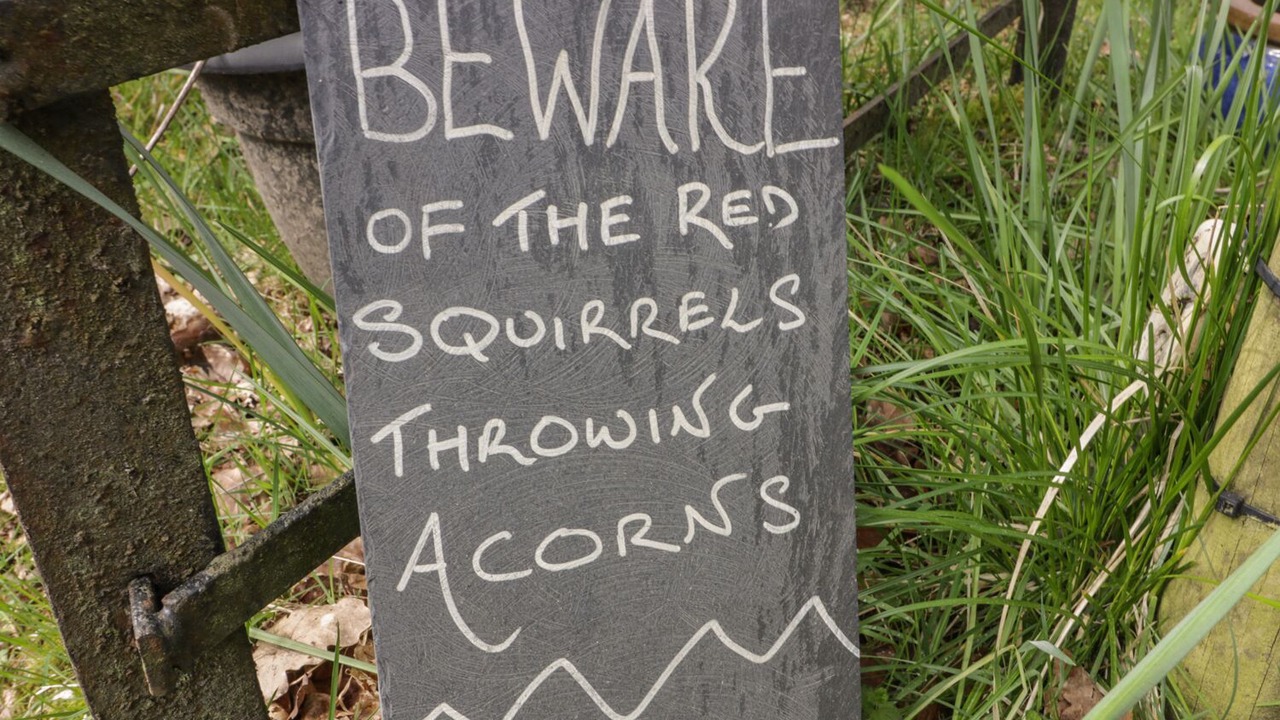 Photo of Outdoor in Strathblane