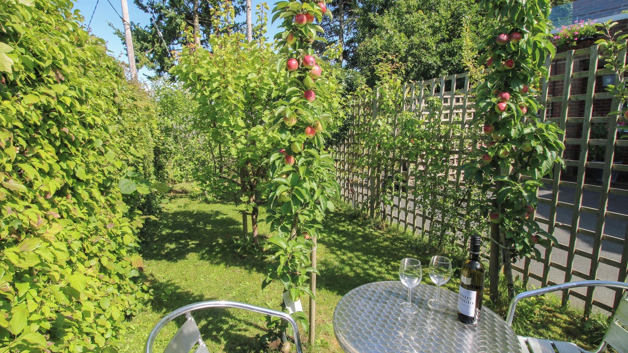 Photo of Outdoor in Longford