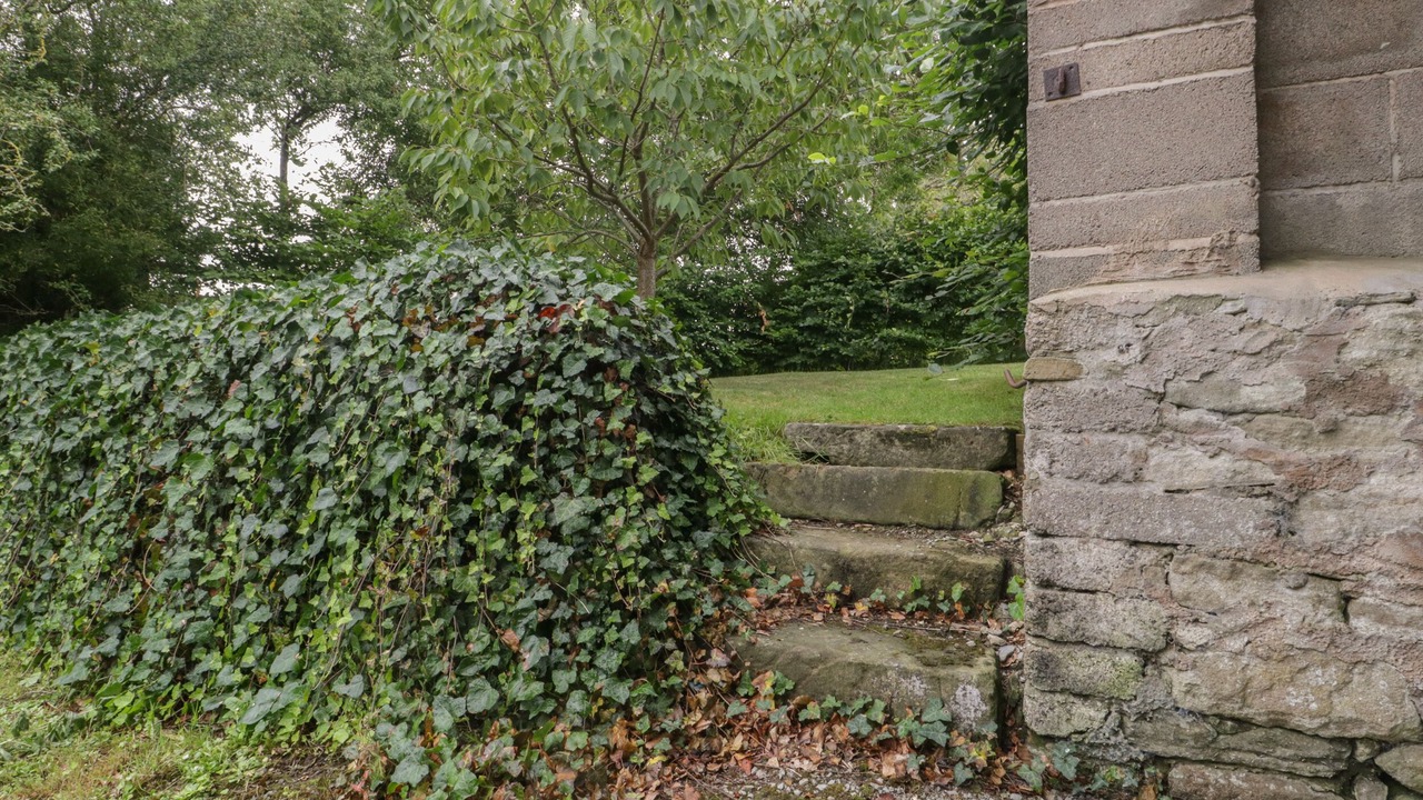 Photo of Outdoor in Bridgwater