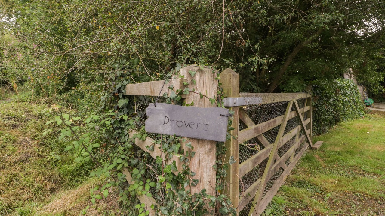 Photo of Outdoor in Bridgwater