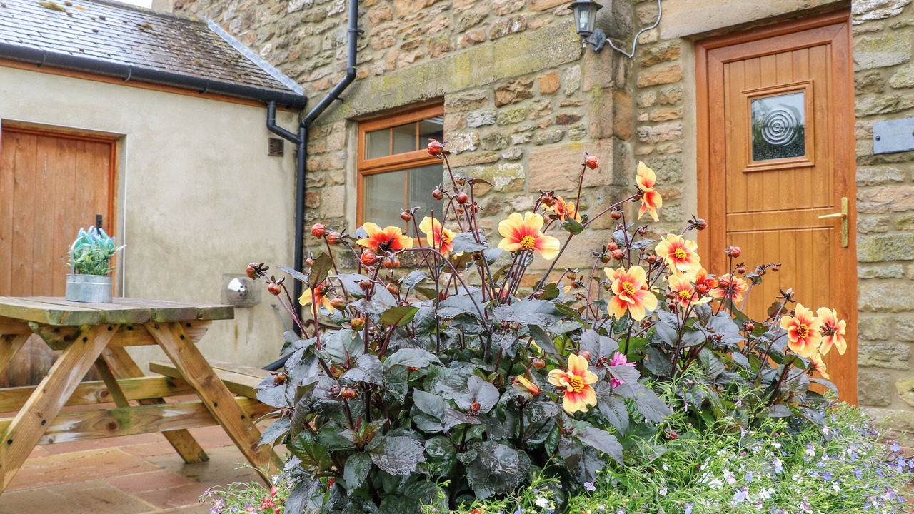 Photo of Outdoor in Hexham