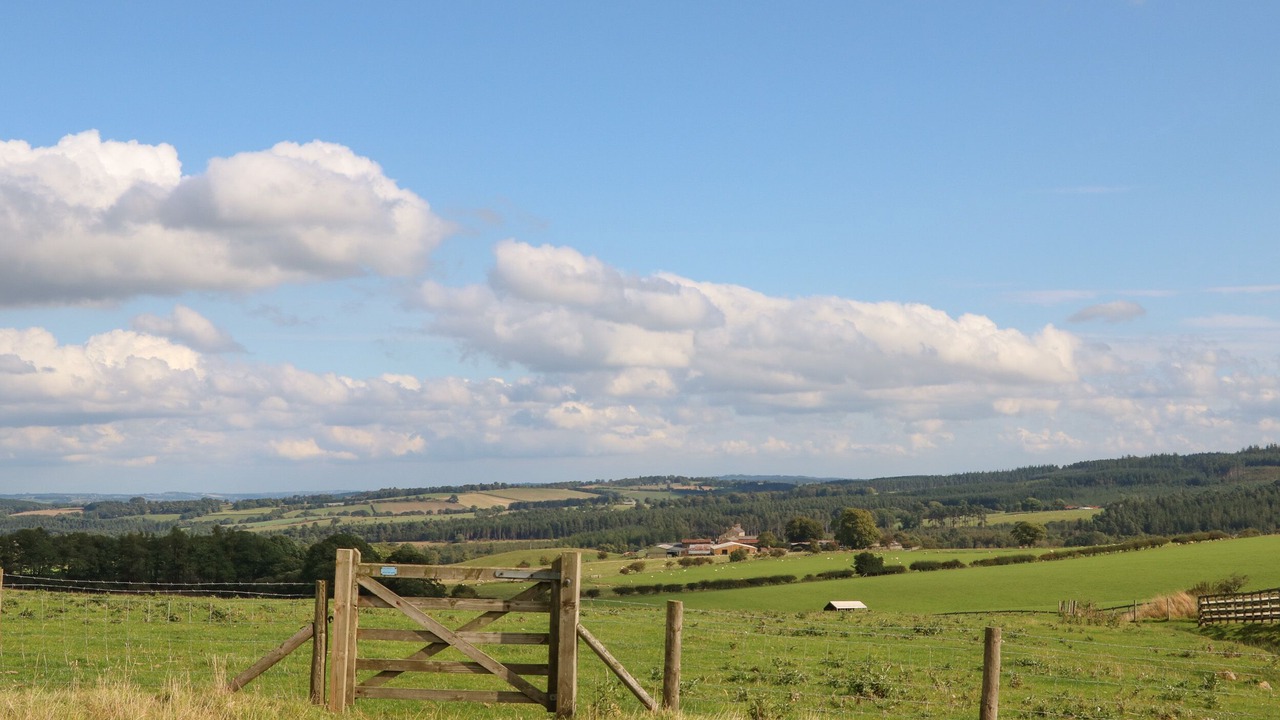 Photo of Outdoor in Hexham