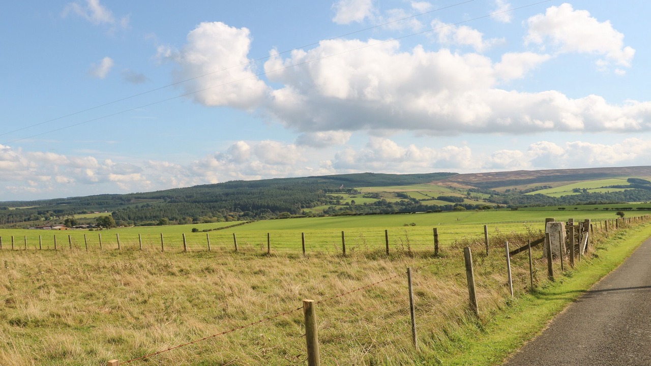 Photo of Others in Hexham