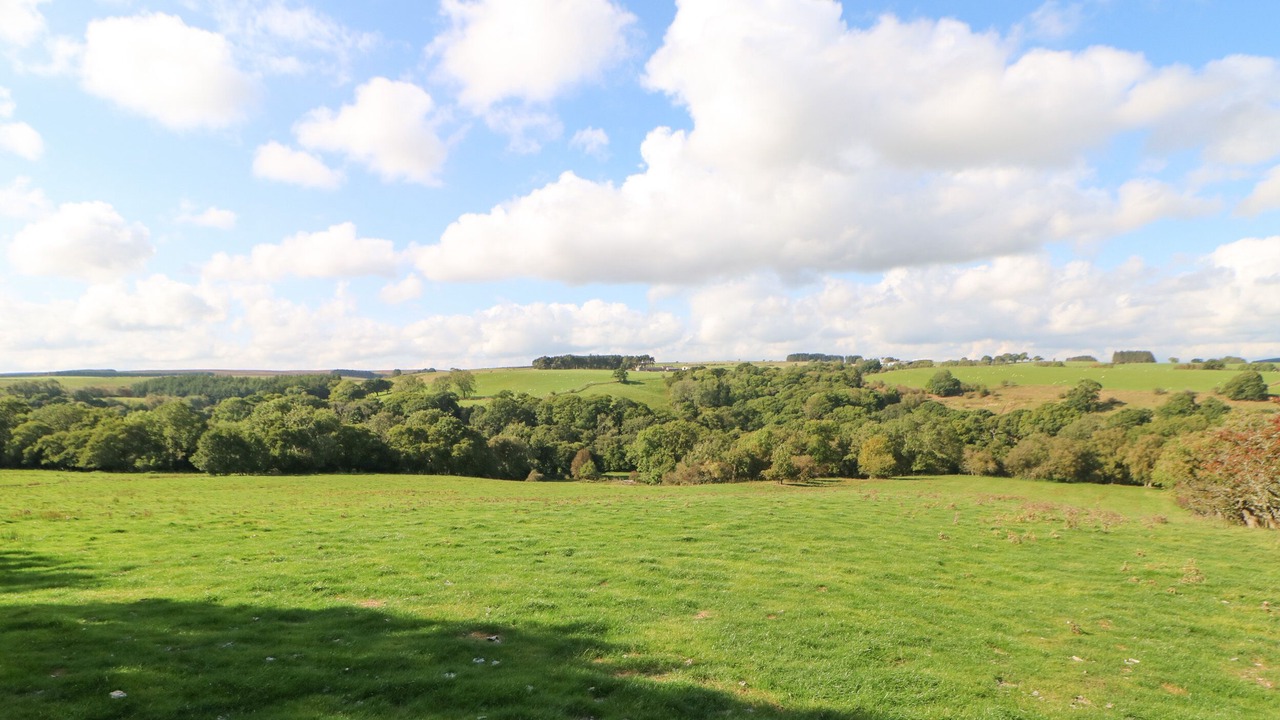 Photo of Others in Hexham