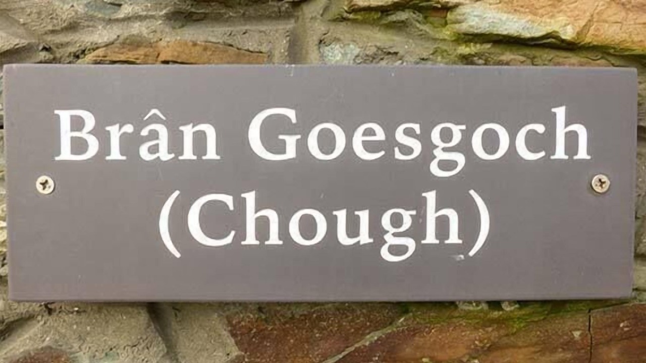 Photo of Outdoor in Holyhead