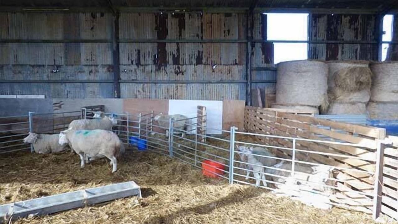 Photo of Outdoor in Holyhead