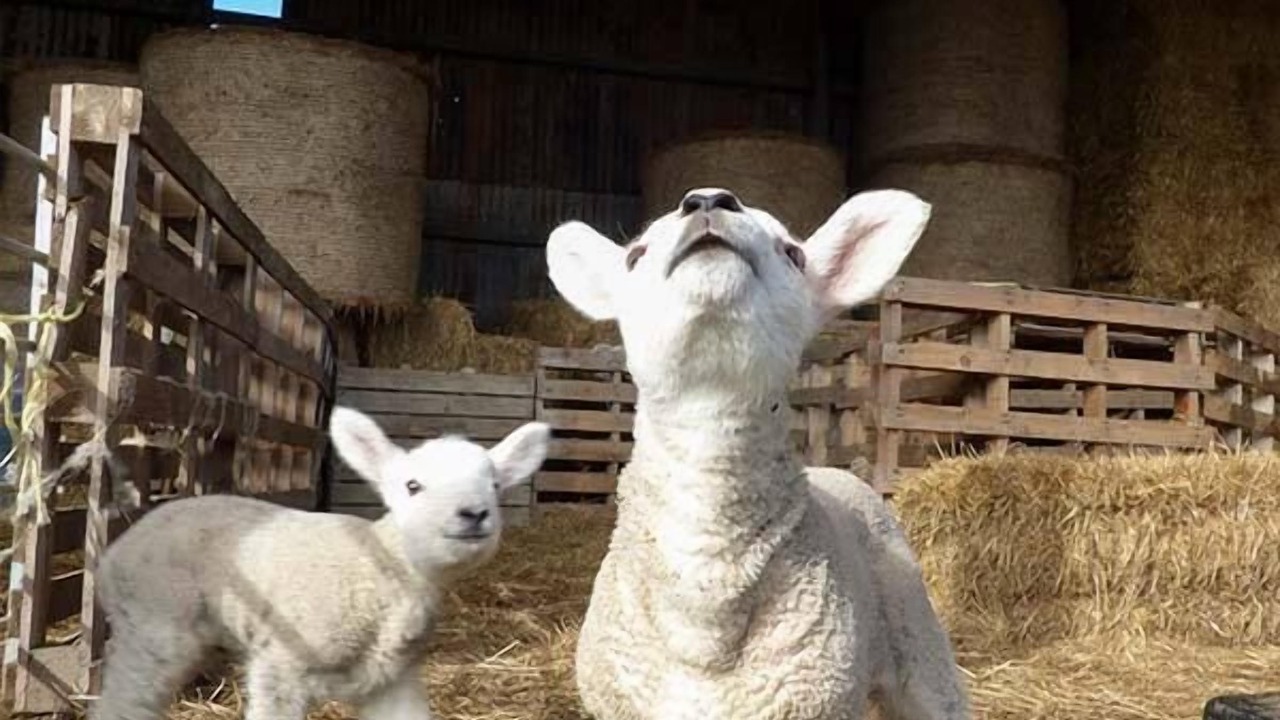 Photo of Others in Holyhead