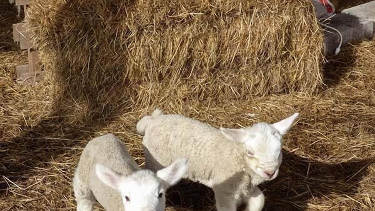 Photo of Outdoor in Holyhead