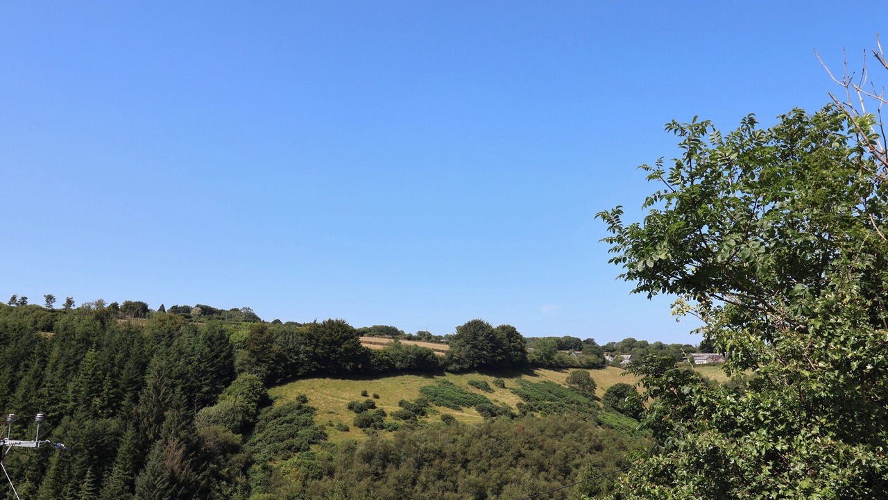 Photo of Others in Lynton