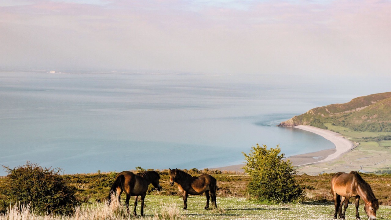 Photo of Others in Lynton