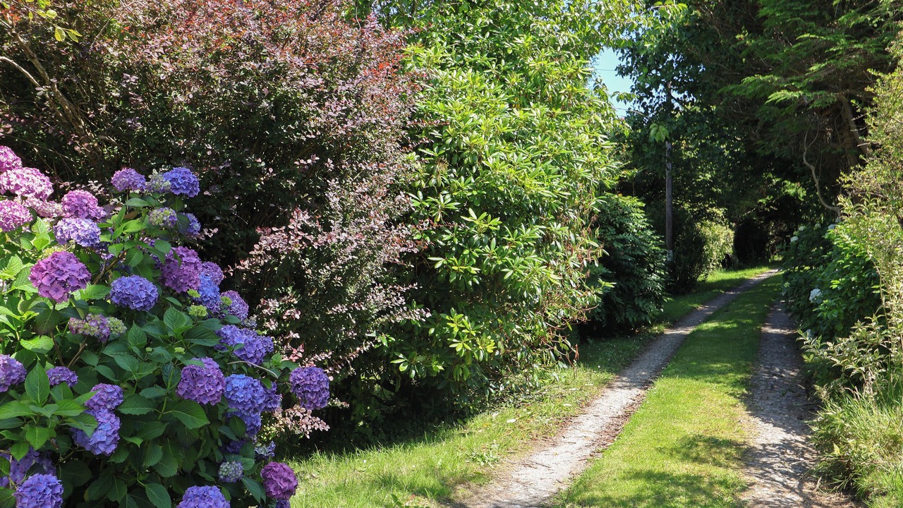 Photo of Outdoor in Lynton
