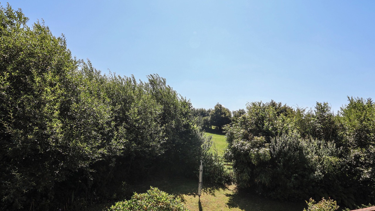 Photo of Outdoor in Lynton