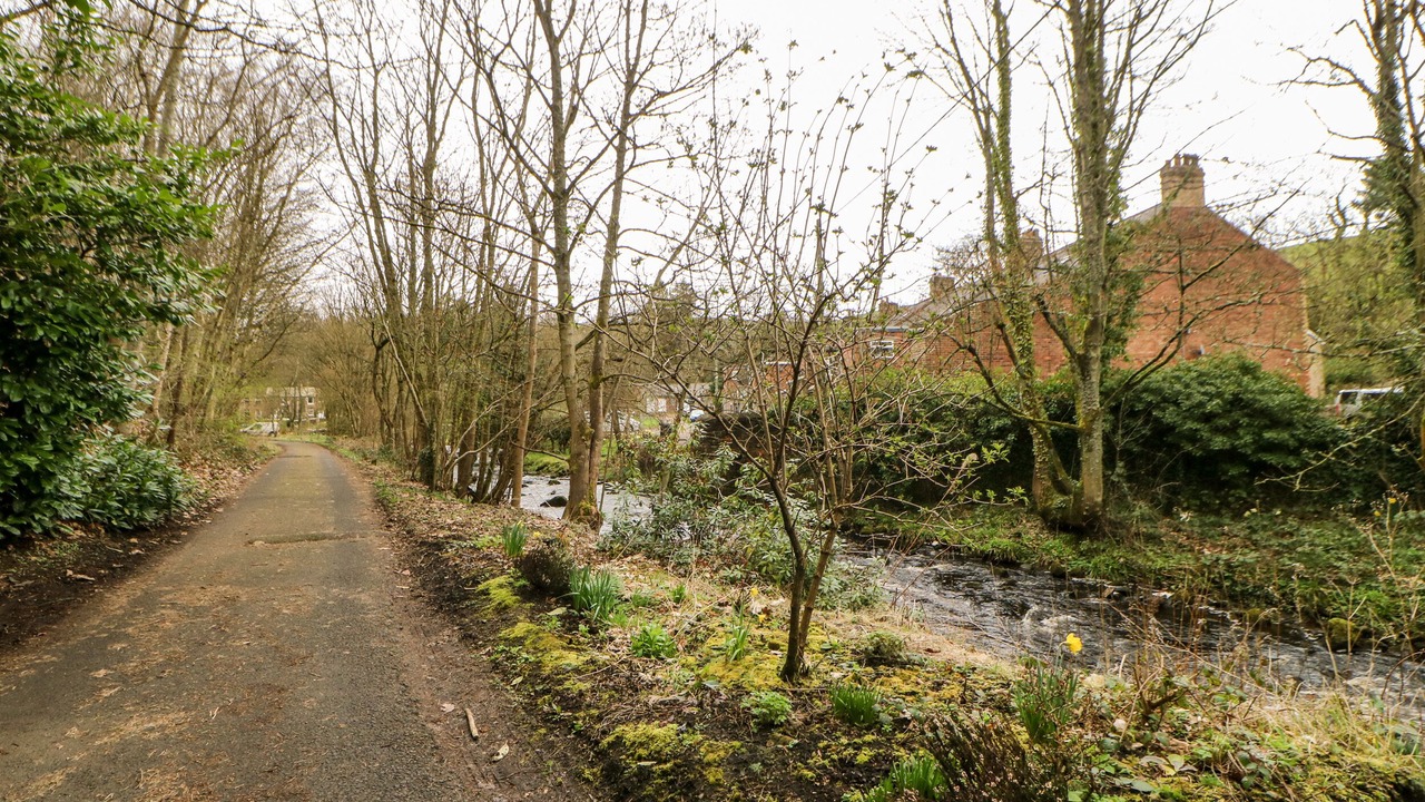 Photo of Outdoor in Haltwhistle