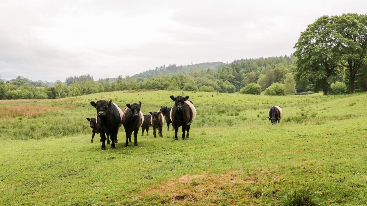 Photo of Others in Near Sawrey