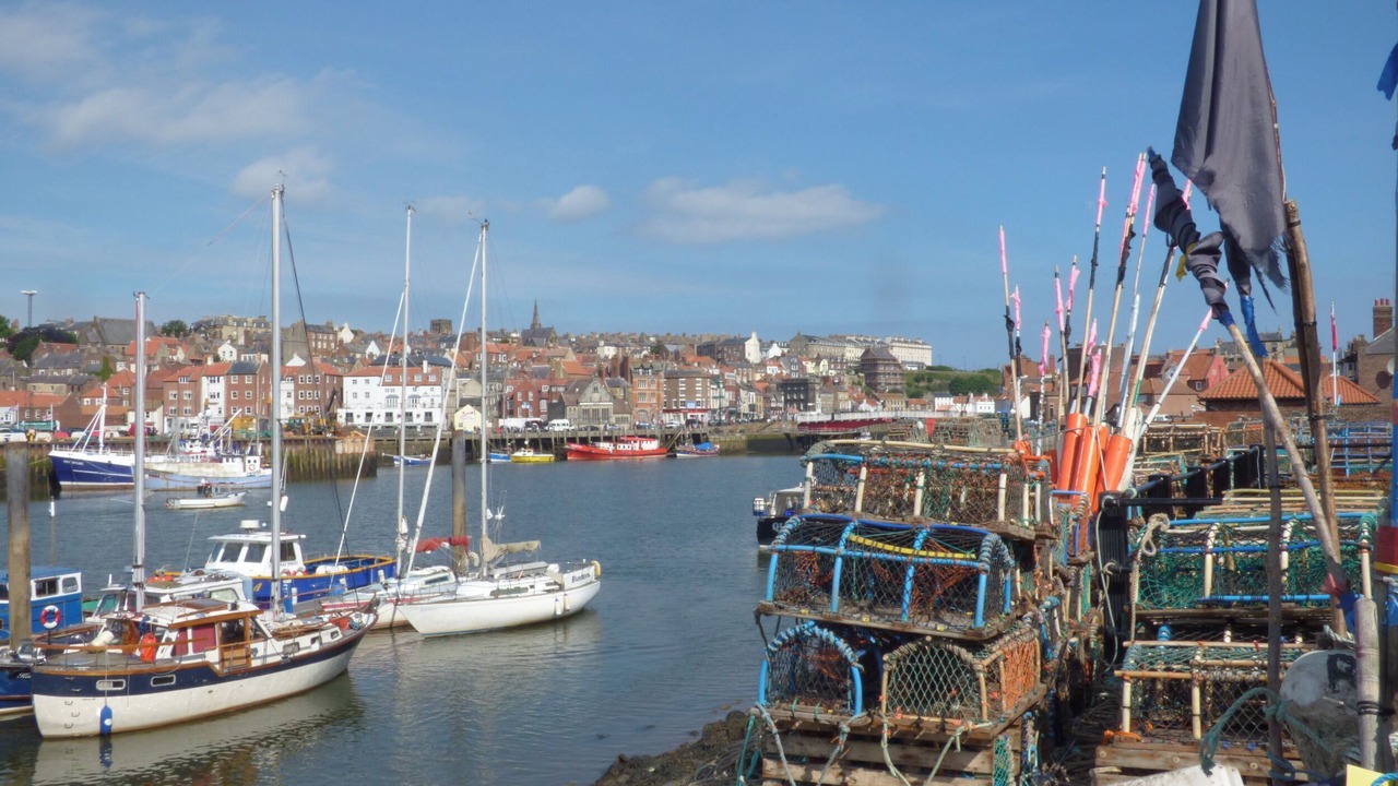 Photo of Others in Whitby