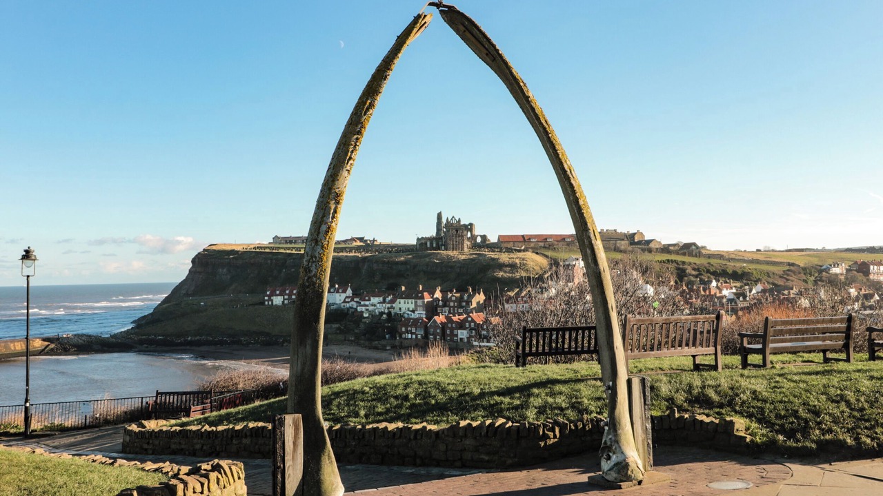 Photo of Others in Whitby