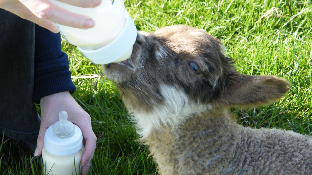 Photo of Others in Beverley