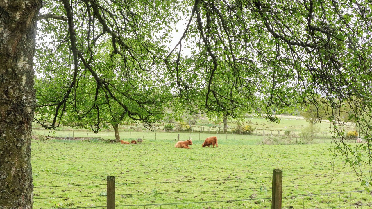 Photo of Others in Fort William