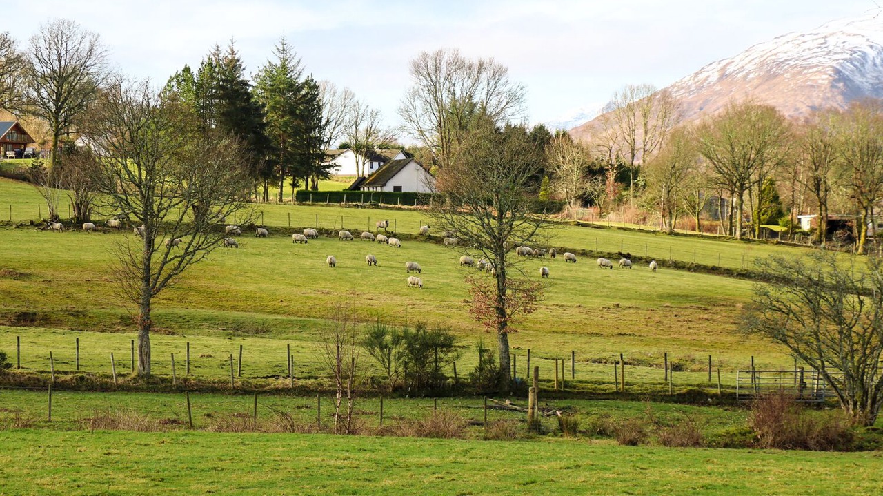 Photo of Others in Fort William