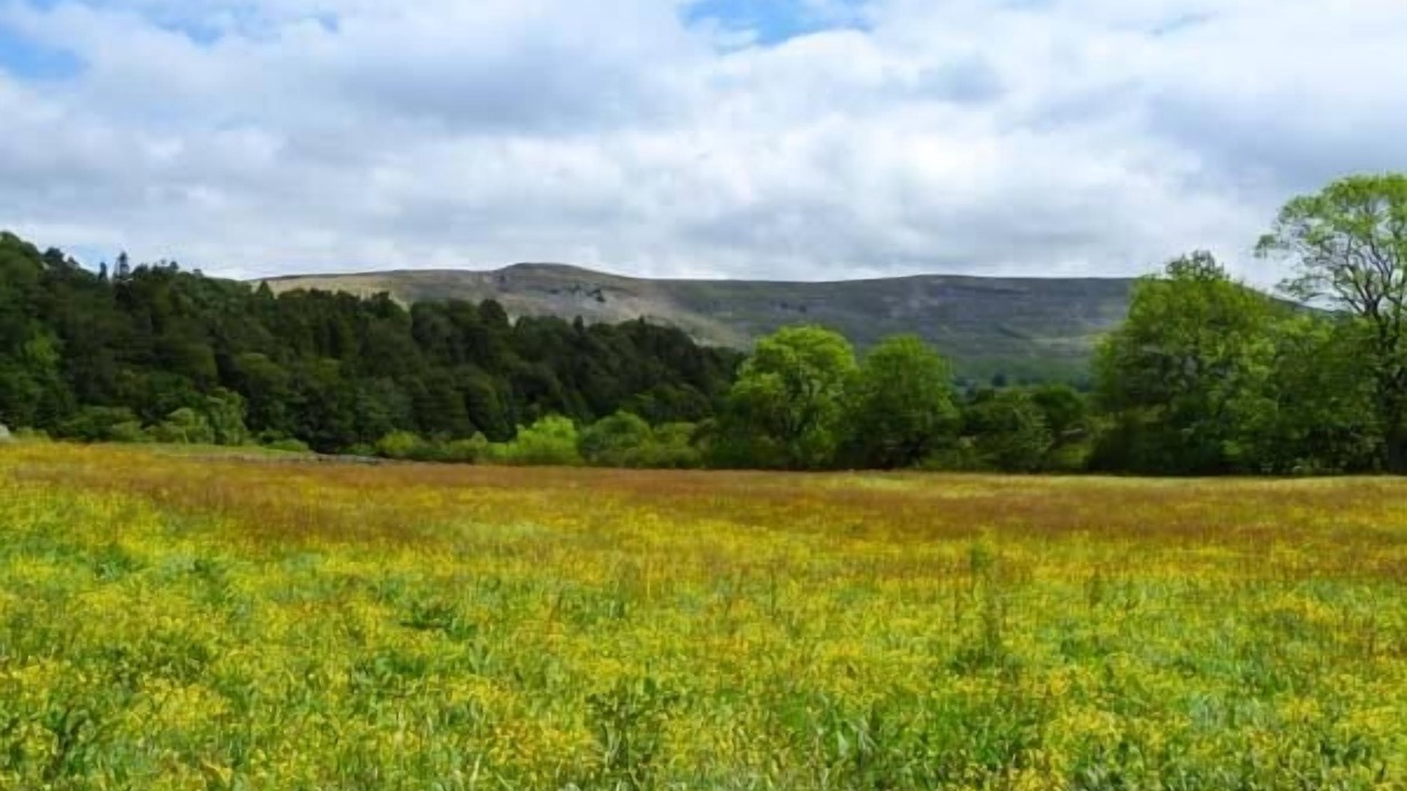 Photo of Outdoor in Middleham
