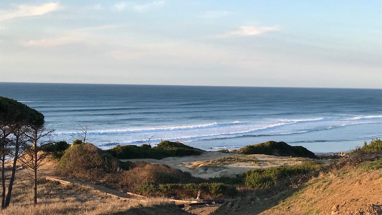 Photo of Others in Agate Beach