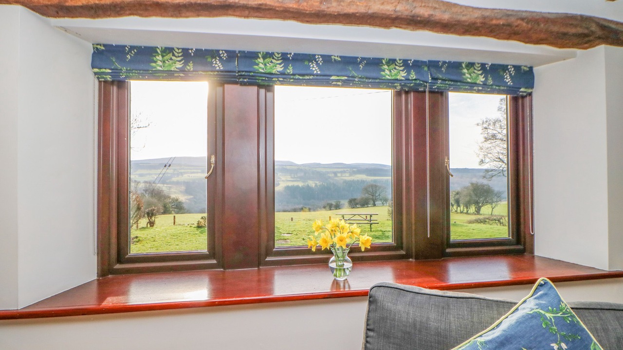 Photo of Others in Brampton