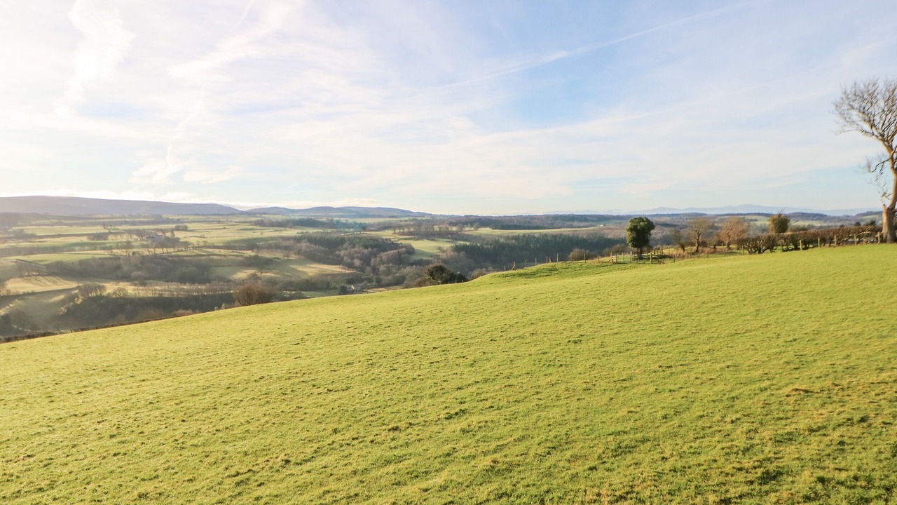 Photo of Outdoor in Brampton