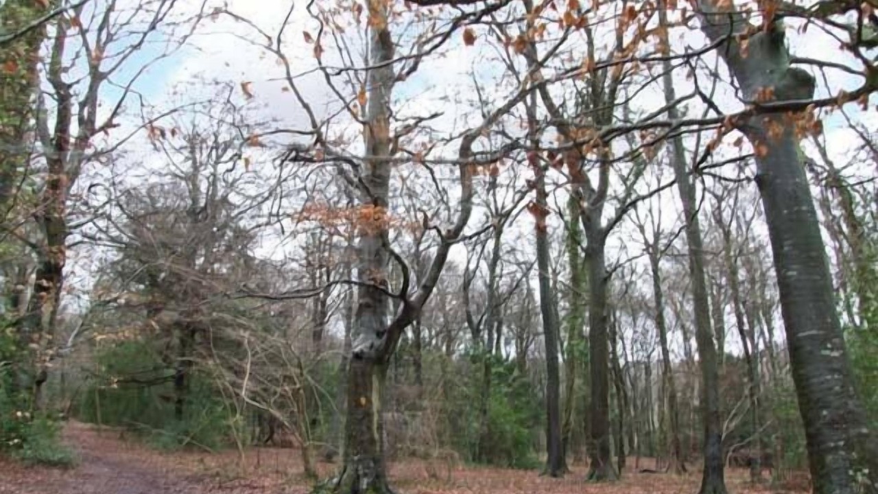 Photo of Others in Cranham